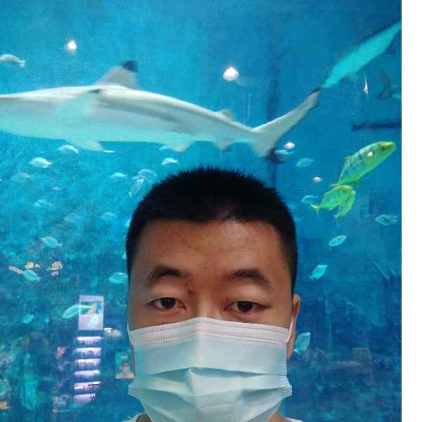 河北34岁单身帅哥真诚找对象-云南征婚相亲网