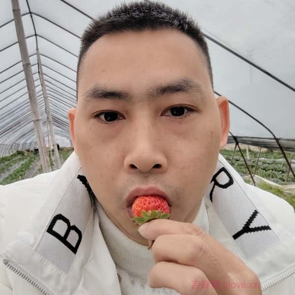云南征婚相亲网